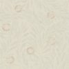 Orange Tree 216403